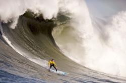 勇士前途光明！Rookie新星表现优异，赛场气氛高涨